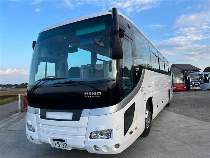 Hino S'elega