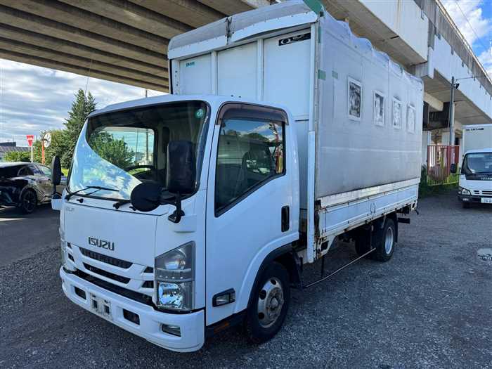 Isuzu Elf Truck
