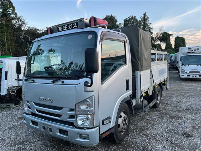 Isuzu Elf Truck