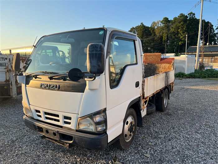 Isuzu Elf Truck